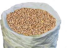 (image for) Honey Malted Oats